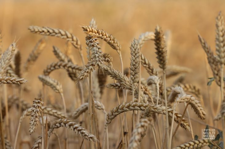 photo_2022-09-27_12-11-54