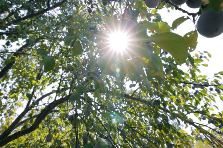 photo_2022-09-29_10-24-04