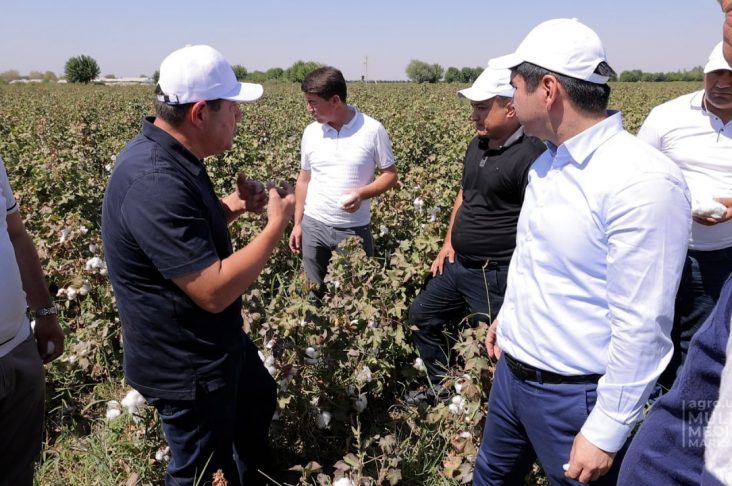 Воиоов обложка