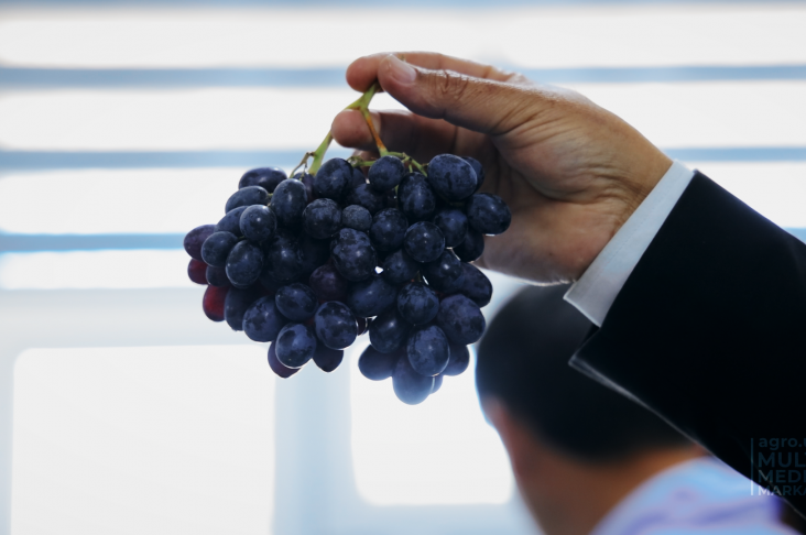 DEGUSTASIYA.00_02_13_13.Still009