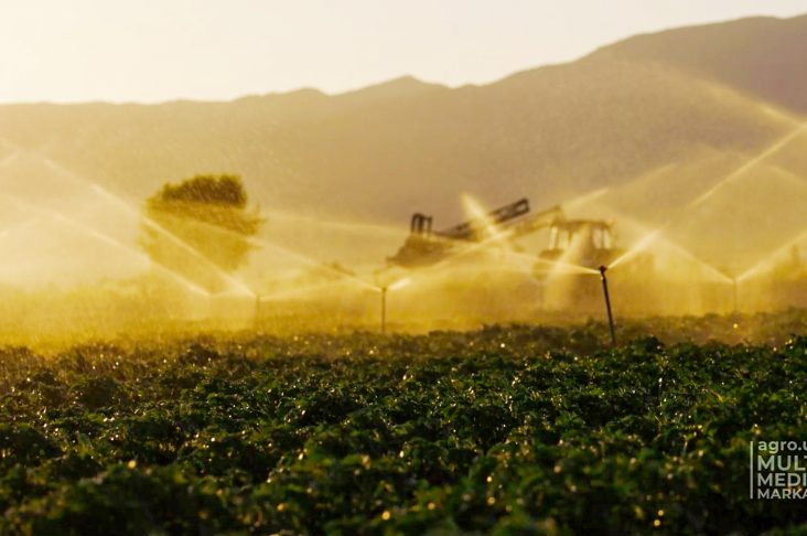 INTERVYU USMON NOQRUQLOV anons.00_00_10_15.Still002