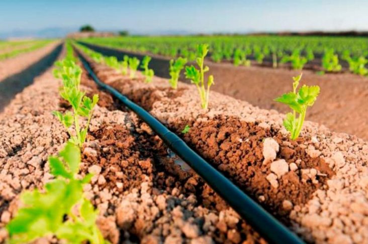 IRRIGACAO-5.2-1024x597