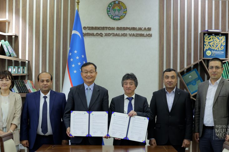 Memorandum_MONTAJ.00_06_25_09.Still016