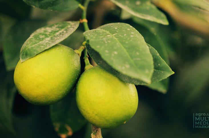 photo_2022-10-05_10-20-58