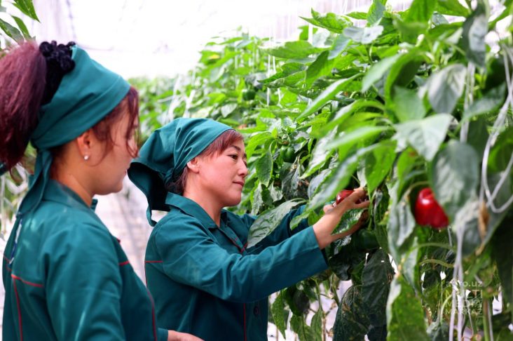 photo_2022-10-05_12-49-05уз