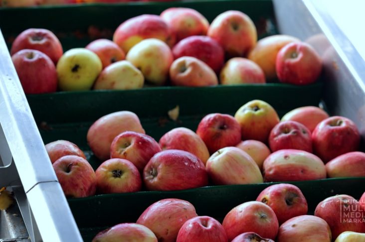 photo_2022-10-07_11-31-04