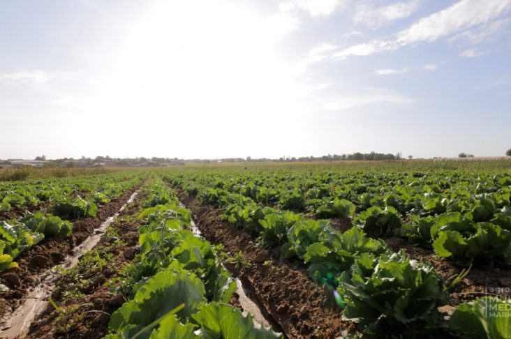 photo_2022-10-12_10-35-12