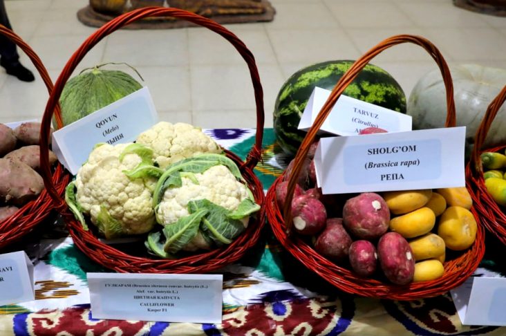 photo_2022-10-16_12-30-59