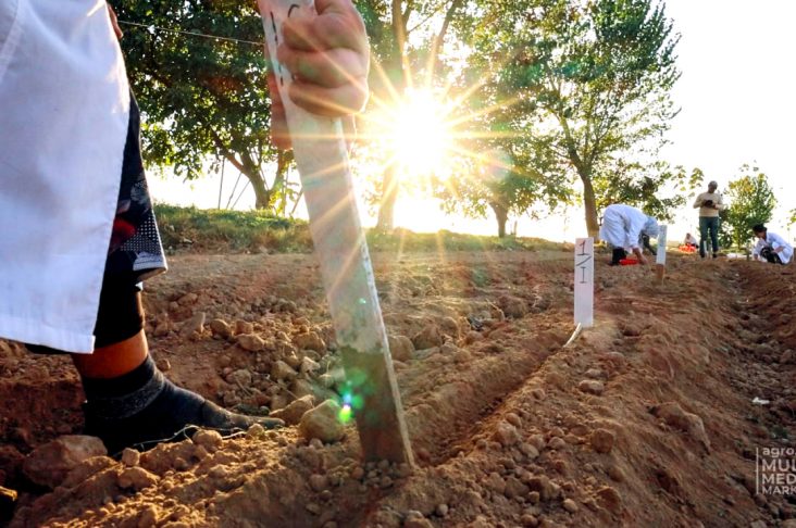 photo_2022-10-17_11-10-39