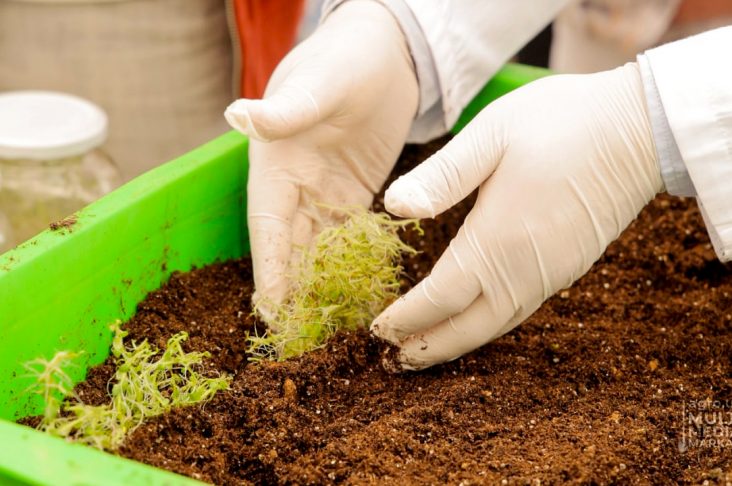 photo_2022-10-18_11-49-53