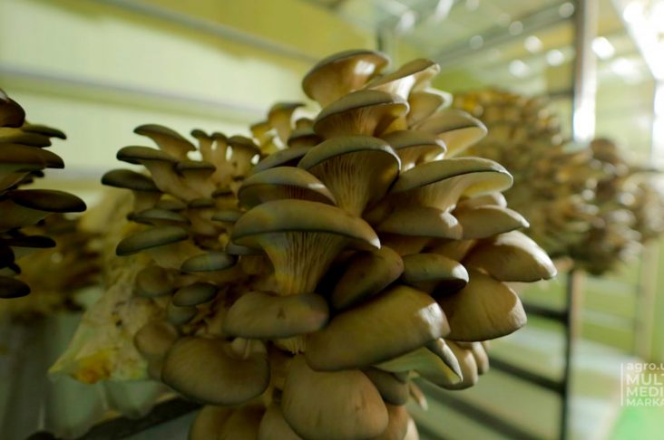 photo_2022-10-22_13-28-15