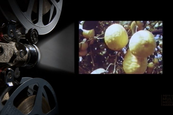 photo_2022-10-31_12-31-16