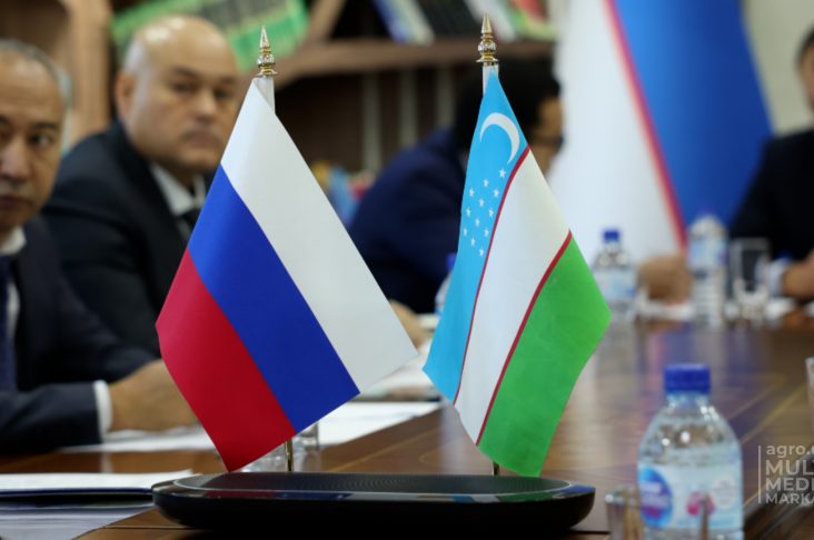 Sequence 03.00_01_50_10.Still014