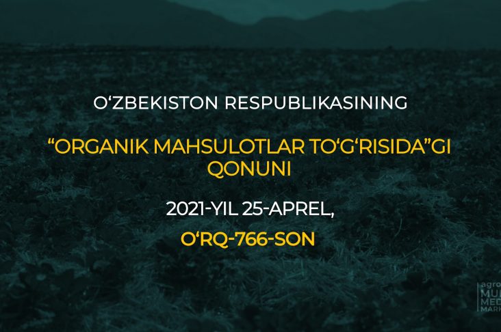 Watermark new.00_00_07_05.Still003