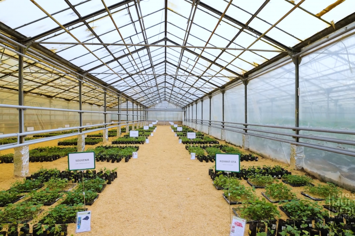 Brokkliy_Переработка.00_03_24_12.Still009