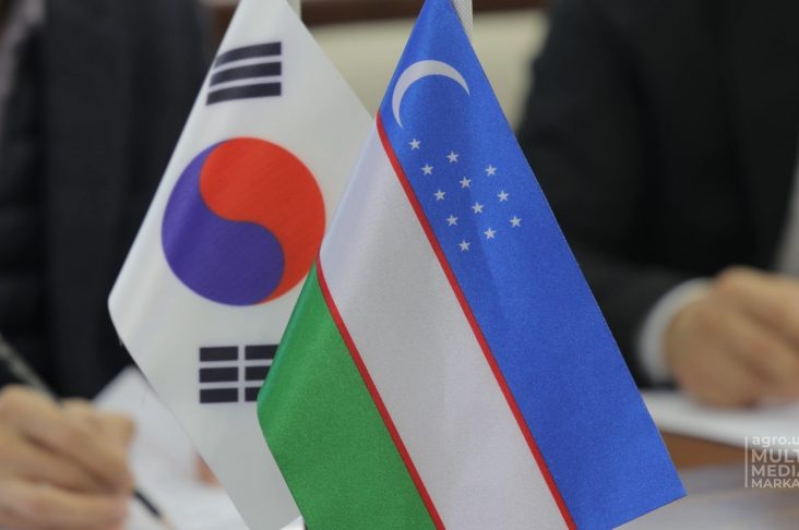 KOREYA_HD.00_00_48_41.Still004