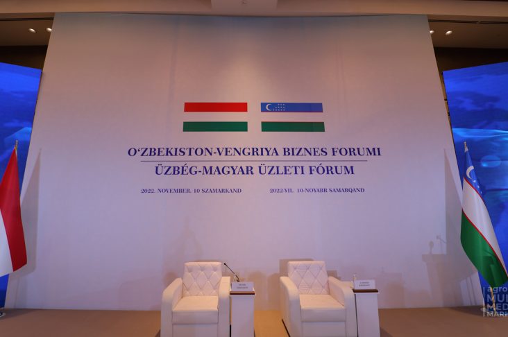 МАСТЕР.00_18_04_38.Still003