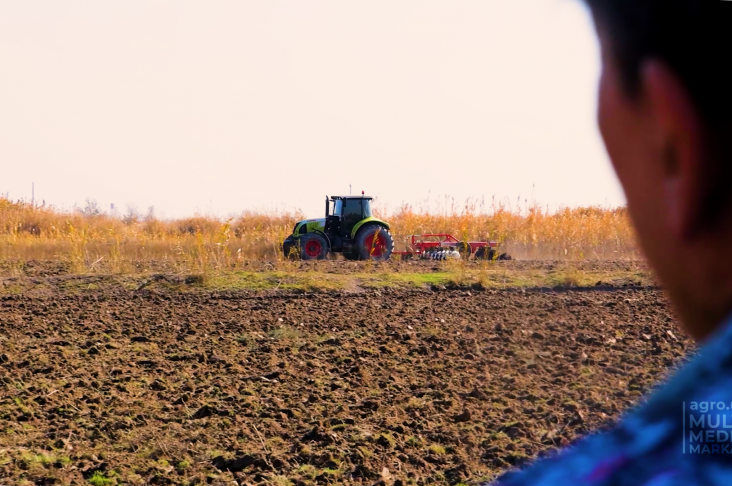 organika.00_00_11_12.Still002