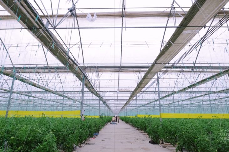 ПарникЯнгиюЛь HD.8_13.Still001