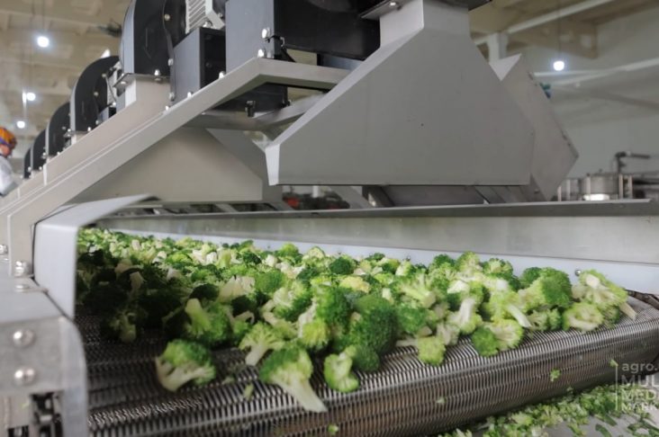 photo_2022-11-25_17-52-32