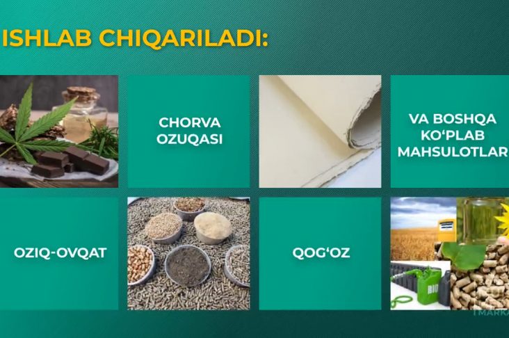 intervyu-kanabis-public-sd.00_06_00_36.still007