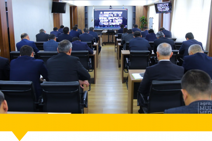 1920x1080.00_00_00_00.Still066