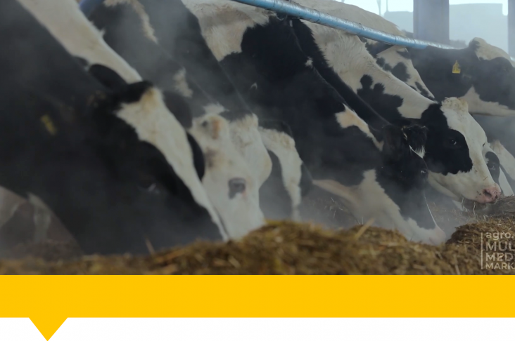 1920x1080.00_00_00_17.Still087