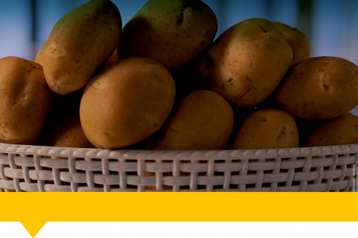 1920x1080.00_00_20_49.Still094