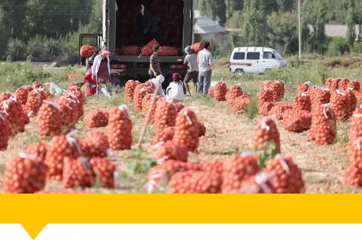 1920x1080.00_00_49_19.Still128