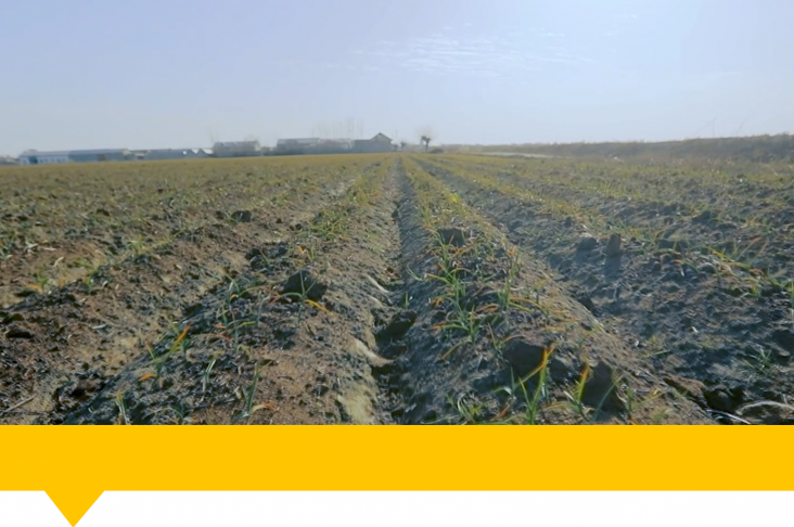 1920x1080.00_00_51_15.Still080