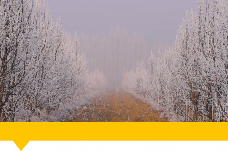 1920x1080.00_01_04_09.Still111