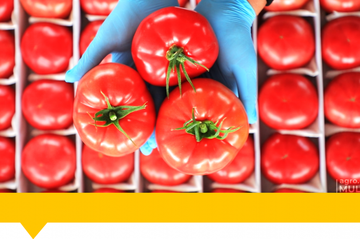 1920x1080.00_01_28_39.Still096