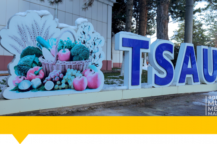 1920x1080.00_01_42_15.Still103