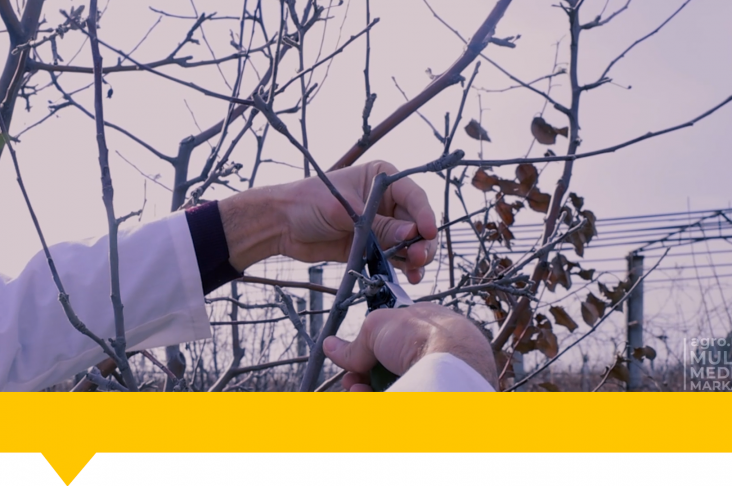 1920x1080.00_01_42_20.Still117