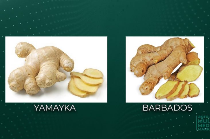 photo_2023-01-07_16-49-21