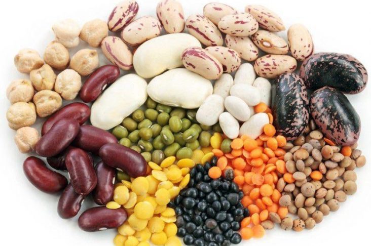 photo_2023-01-17_11-59-14