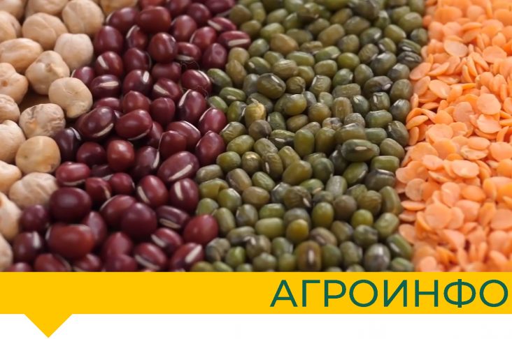 агроинфо