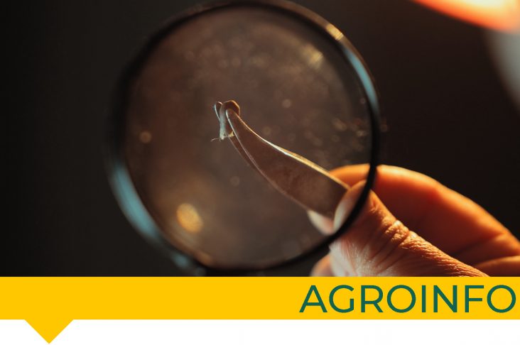 agroinfo
