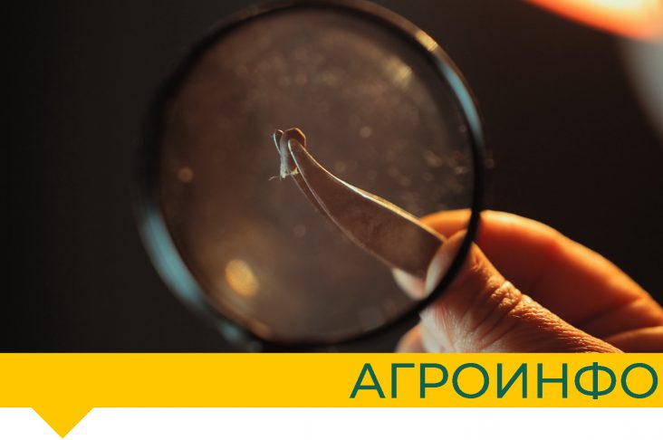 агроинфо