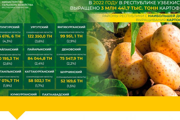 концентрат ру