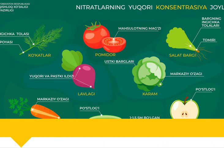 концентрат уз