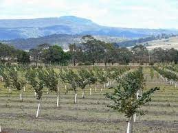 photo_2023-02-21_10-54-11