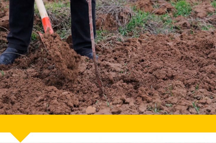 Шаблон Wathermark — копия — копия