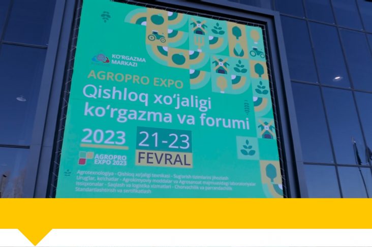 Шаблон Wathermark — копия — копия