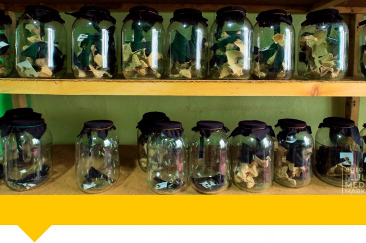 Шаблон Wathermark-Recovered