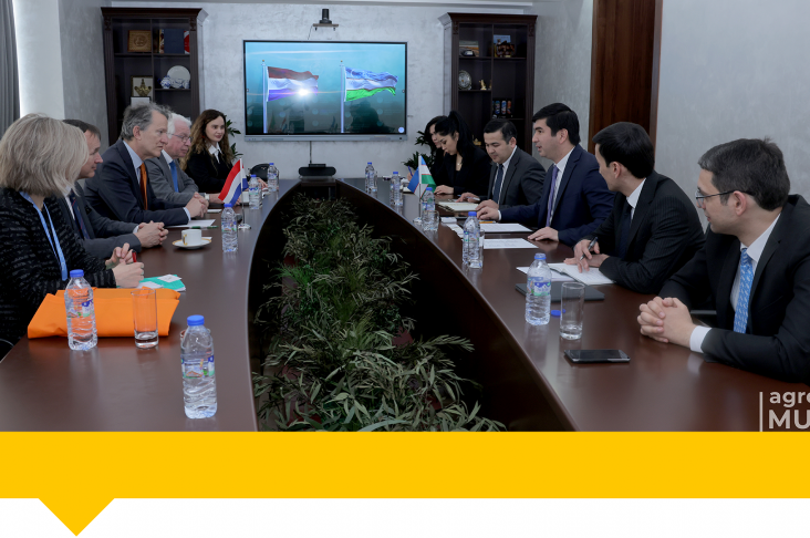 Шаблон Wathermark — копия