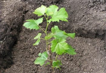 photo_2023-05-05_17-52-13