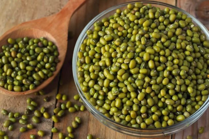 Fasol-mash-3456535252