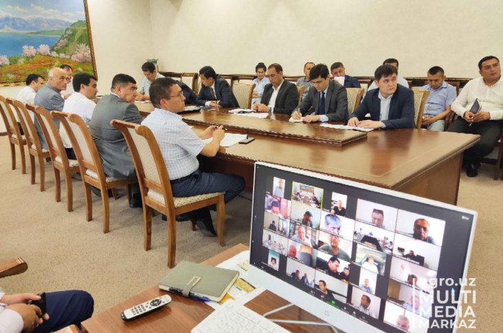 photo_2023-08-02_15-05-56