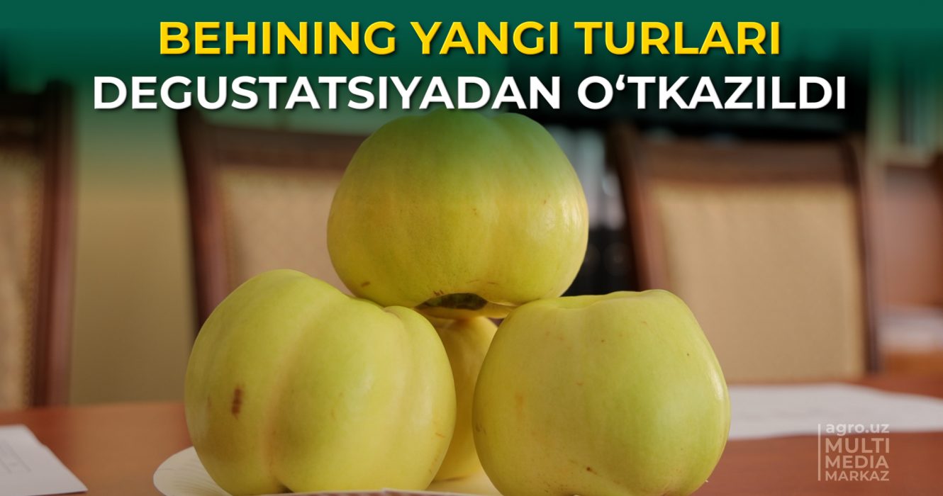 BEHI MONTAJ.00_13_44_28.Still001